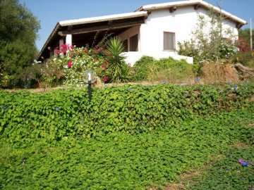 Agriturismo S'Ozzastru - Dorgali - Sardinië 